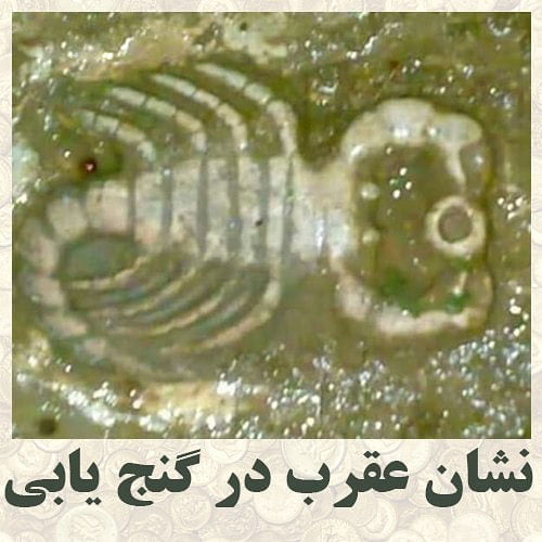 تفسیر نماد عقرب در گنجیابی