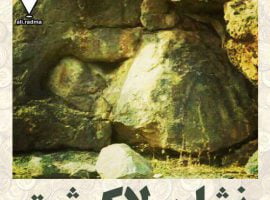نماد لاک پشت های رمزگشایی شده در ایران | گنج یابی