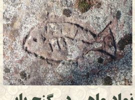 تفسیر کامل نماد ماهی در گنج یابی